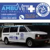Ambuvet Pet Ambulance, New York, New York