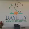 Daylily Animal Hospital, Texas, Hutto