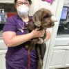 Azalea Lakes Veterinary Clinic, Louisiana, Baton Rouge