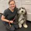 Mebane Pet Clinic, North Carolina, Mebane