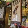 Coconut Grove Animal Clinic, Florida, Miami