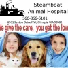 Steamboat Animal Hospital, Washington, Olympia