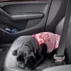Roanoke Animal Hospital, Texas, Roanoke