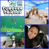 Furever Friends Play and Stay, Hawaii, Honolulu