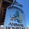 Pinebrook Animal Hospital, Utah, Park City