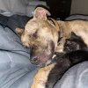 Orchid Springs Animal Hospital, Florida, Winter Haven