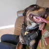 East West Veterinary Care Center, Florida, Cape Coral