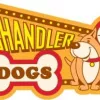 Chandler Dogs 24/7, Arizona, Chandler