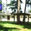 Royal Pet Motel, Washington, Spanaway