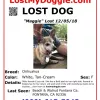 Angels N Paws Rescue, California, Alta Loma