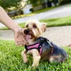 Fuzzy Tails Grooming Boutique, Texas, Richardson