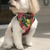 Anne's Pretty Pups, Texas, Keller