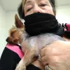 Santa Maria Animal Hospital, California, Santa Maria