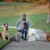 Breyers' Canine Academy, Texas, Dallas