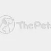 PetSmart, California, Reno