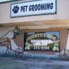 Country Dog Grooming Salon, Florida, New Port Richey