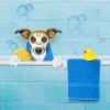 Pets Playground Grooming, Florida, Pompano Beach