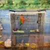 WNC Aquarium & Imports, Tennessee, Arden