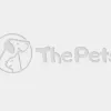 Posh Paws Pet Salon, California, Clovis