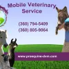 Professional Equine Therapeutic Services, Washington, Monroe