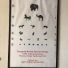 Complete Animal Eye Care Center, California, Sherman Oaks