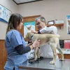 Sugar Creek Animal Clinic, Texas, Sugar Land