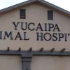 Yucaipa Animal Hospital, California, Yucaipa