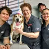 A-Animal Clinic & Boarding Kennel, Texas, Fort Worth