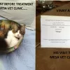 Mesa Veterinary Clinic, Colorado, Pueblo