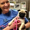 Hurricane Animal Hospital, West Virginia, Hurricane