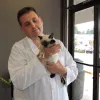 All About Cats Veterinary Hospital, Washington, Kirkland