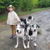 Community Pet Health Center, Texas, San Antonio