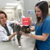 Midway Animal Hospital, Georgia, Alpharetta