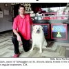 I Speak Dog - Behaviorist & Trainer, California, Laguna Niguel