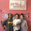 Pets in the City, Hawaii, Honolulu