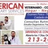 American Veterinary Services, California, Los Angeles
