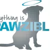 Anything is Pawzible, Texas, Austin