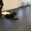 St Hubert's Dog Training School, New Jersey, Madison