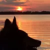 Seaside Veterinary Clinic, Florida, Satellite Beach