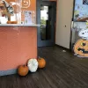 Dogtopia, California, Rocklin