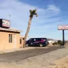 Animal Action League, California, Palm Springs