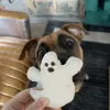 Intown Healthy Hound, Georgia, Atlanta