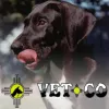 Vetco, New Mexico, Los Lunas