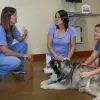 Zoot Pet Hospital and Luxury Boarding, Texas, Georgetown
