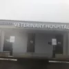 Kirkwood Veterinary Hospital, Texas, Houston