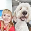Good Dog Grooming Studio, Texas, San Antonio