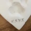 Lasting Paws Pet Memorial Services, New Mexico, Albuquerque