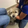 La Costa Animal Hospital, California, Carlsbad