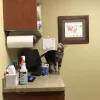 Colleyville Animal Clinic, Texas, Colleyville