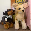 Mobi Dog, Texas, Belton